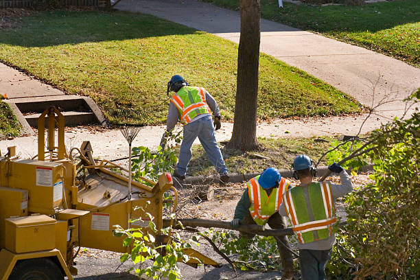 Best Landscape Design and Installation  in Orange, CA